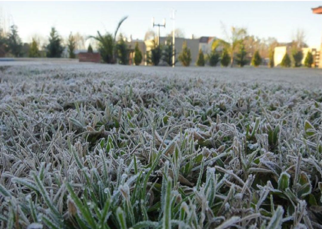 Una helada en una plantación agrícola, en una imagen de archivo