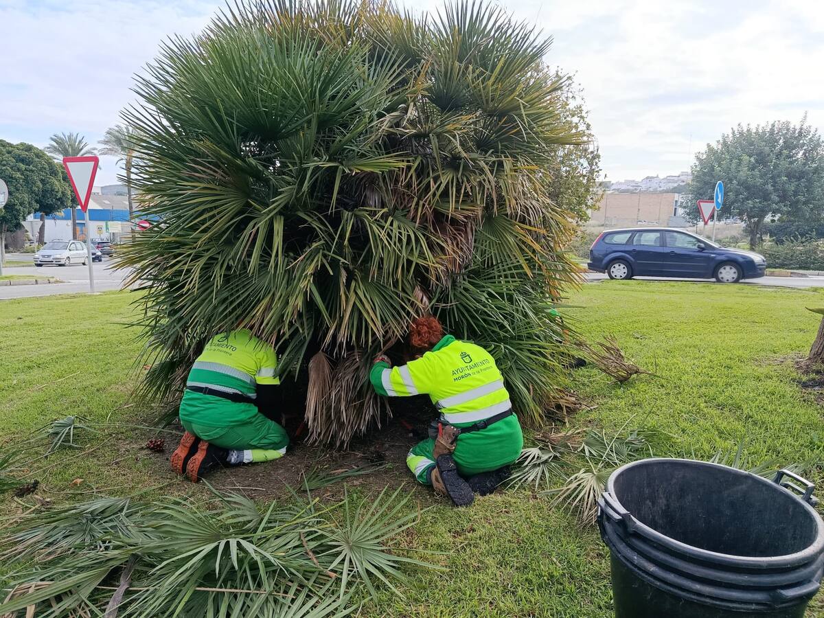 El Ayuntamiento de Morón informa de actuaciones recientes en parques y zonas verdes
