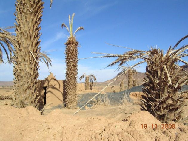 Abandono de explotaciones agrarias tras el agotamiento del acuífero en Oued Mird (sur de Marruecos).