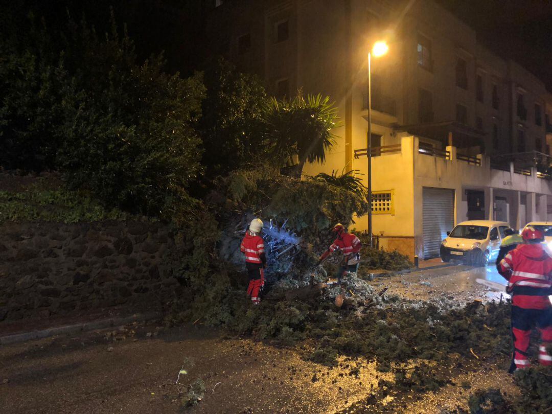 Bomberos de Almuñécar retiran un árbol caido por el fuerte viento