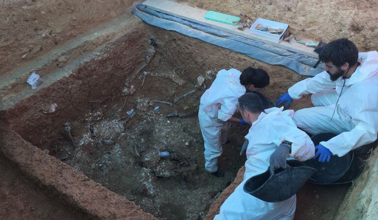 Una imagen de archivo de las excavaciones en las fosa de Paterna