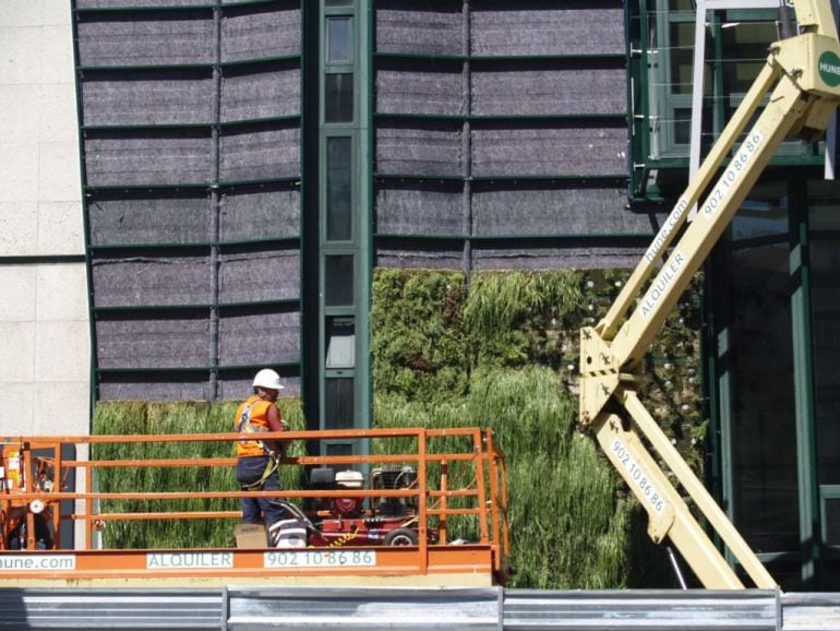 La fachada vegetal del Europa, durante su instalación