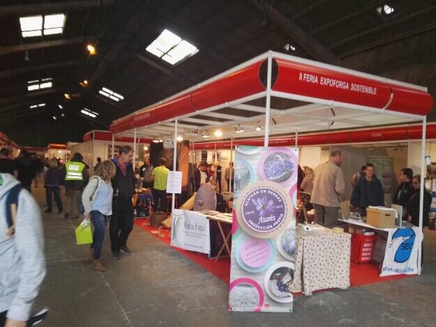 Expoforga los años pares