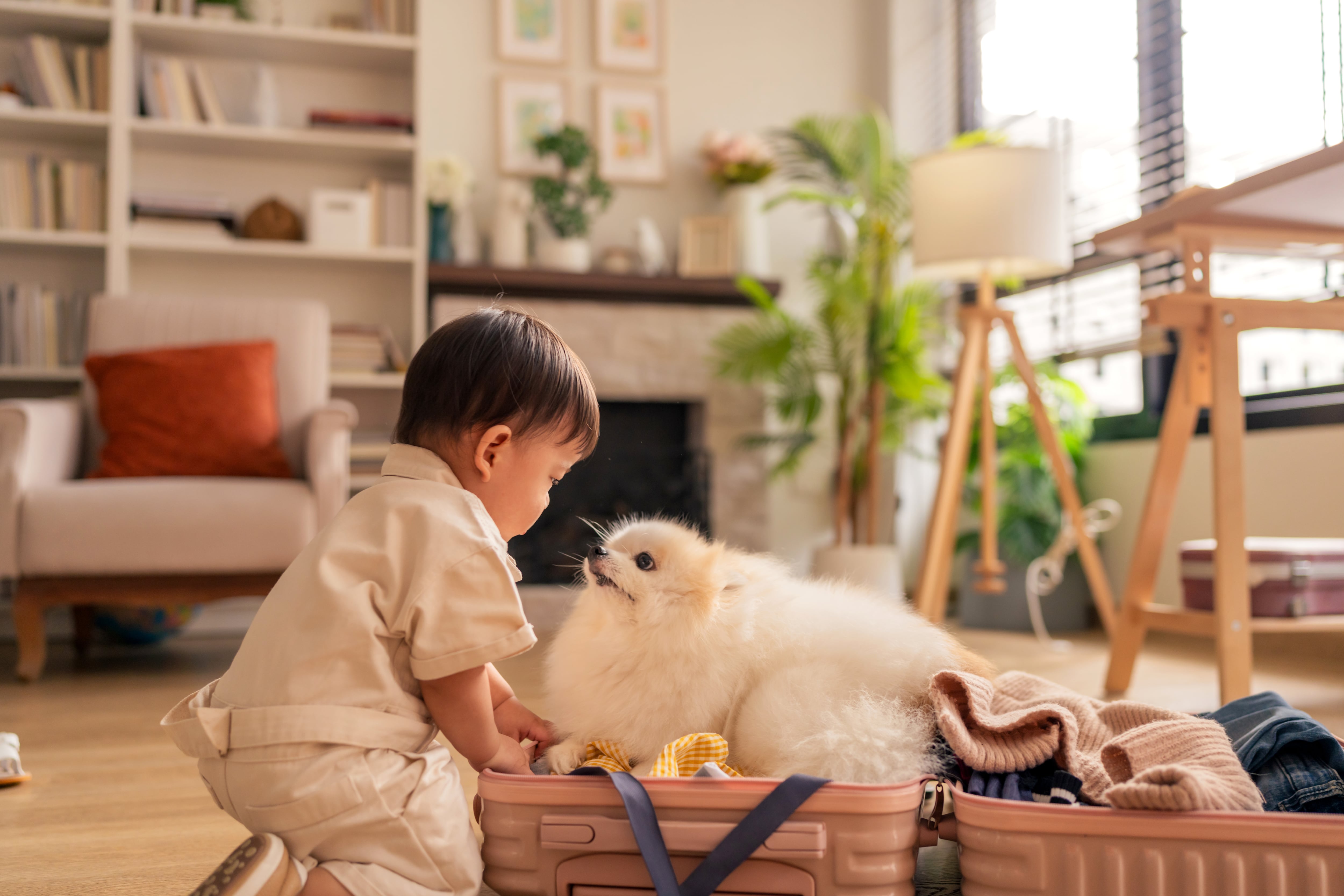 Un bebé y un perro