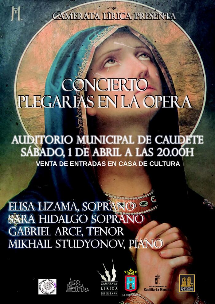 Cartel del concierto