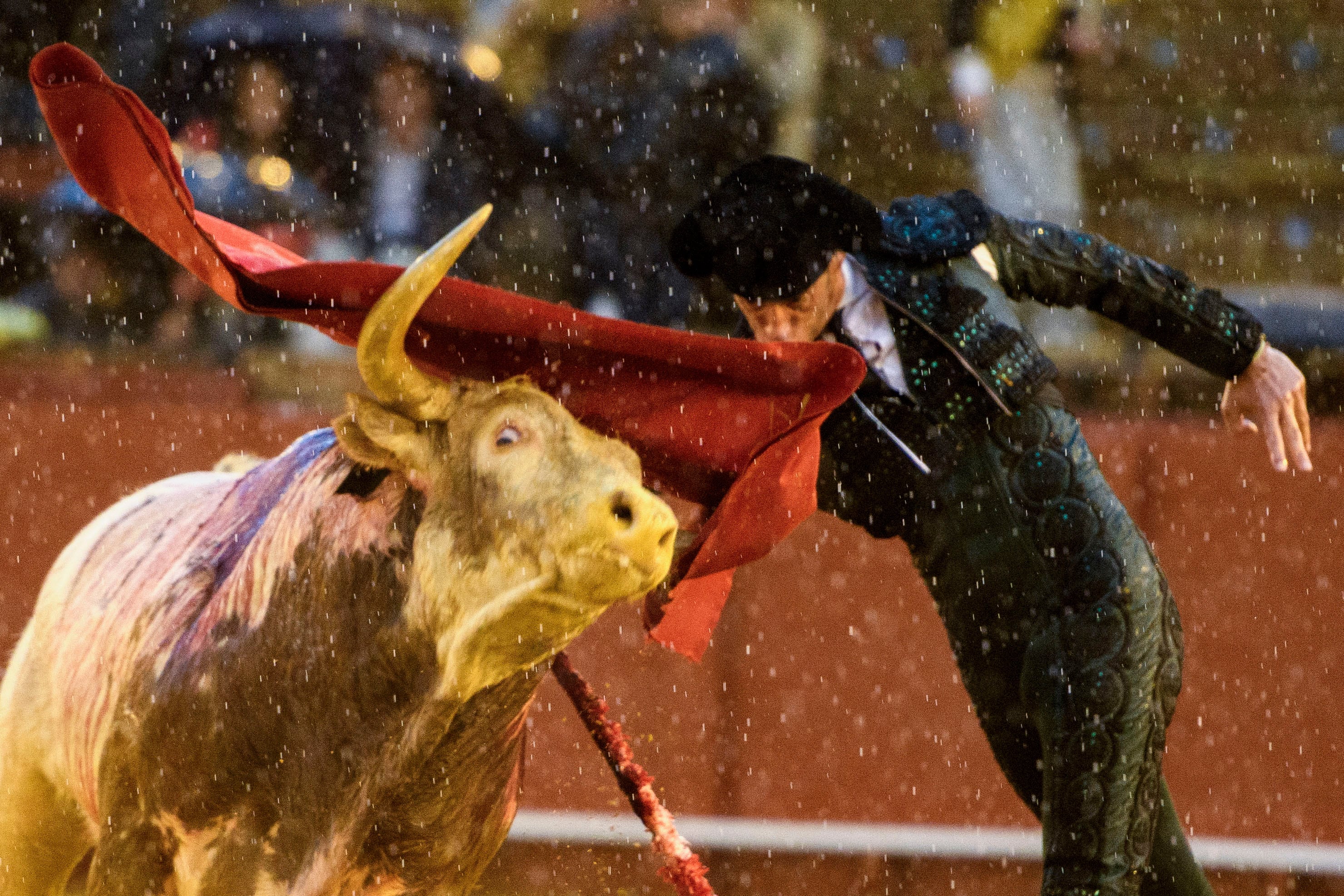 SEVILLA, 11/04/2026.- El diestro Pepe Moral con su segundo toro, durante la segunda corrida de abono de la Plaza de la Maestranza de Sevilla en el que se lidian toros de la ganadería de Alcurrucén. EFE/ Raúl Caro