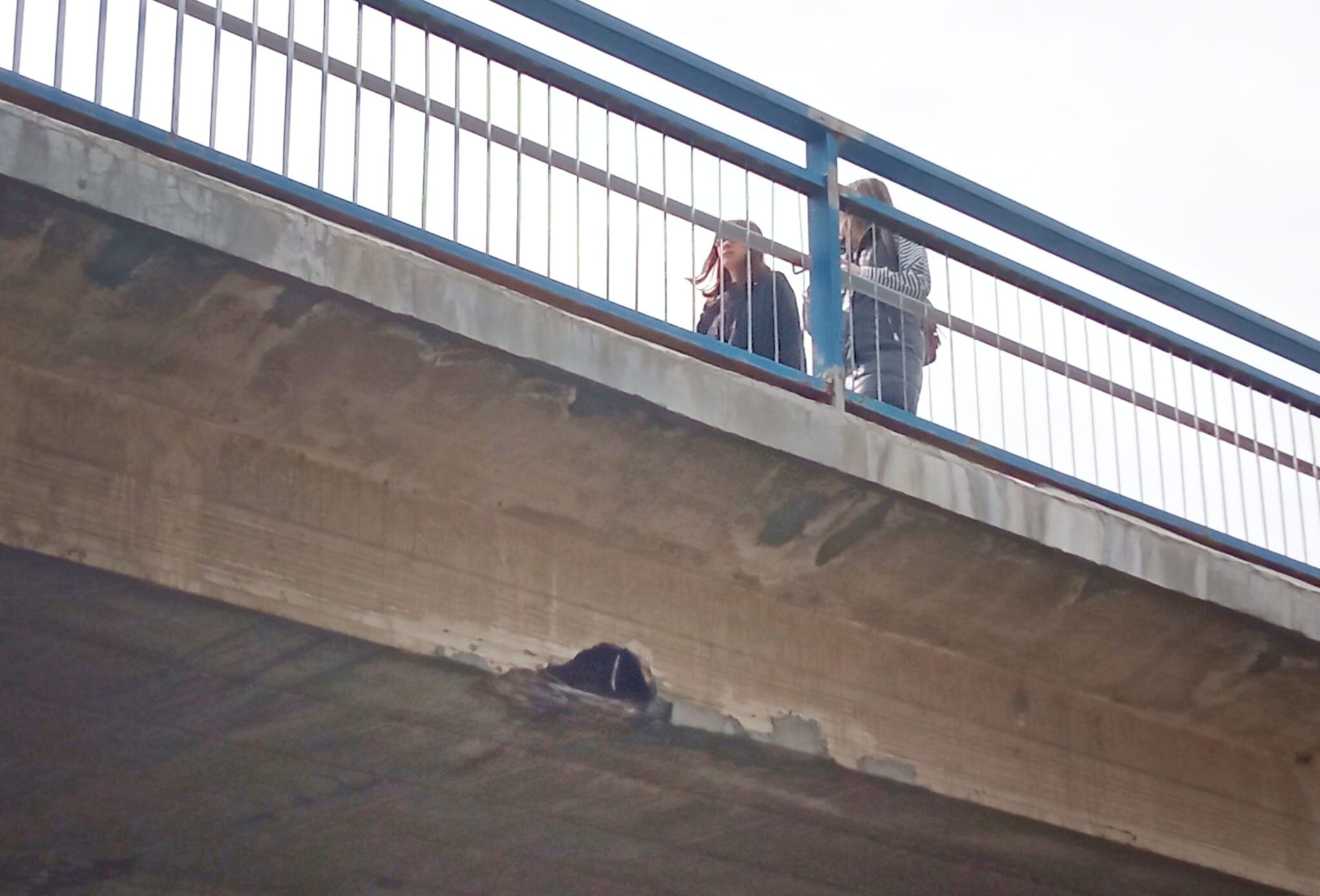 Estado de la pasarela