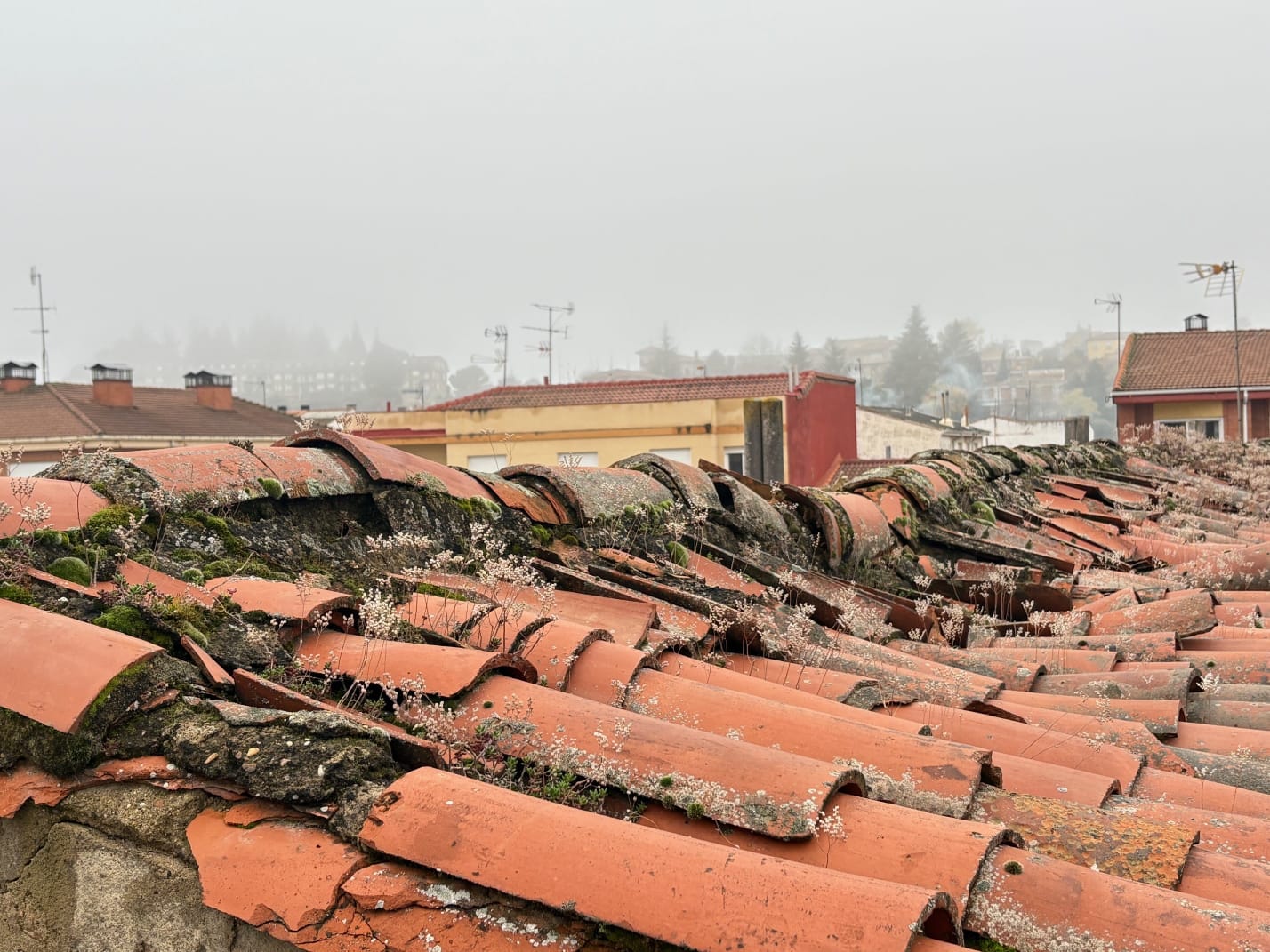 Estado de la cubierta del Colegio Trepalio tras el hundimiento parcial sufrido este fin de semana