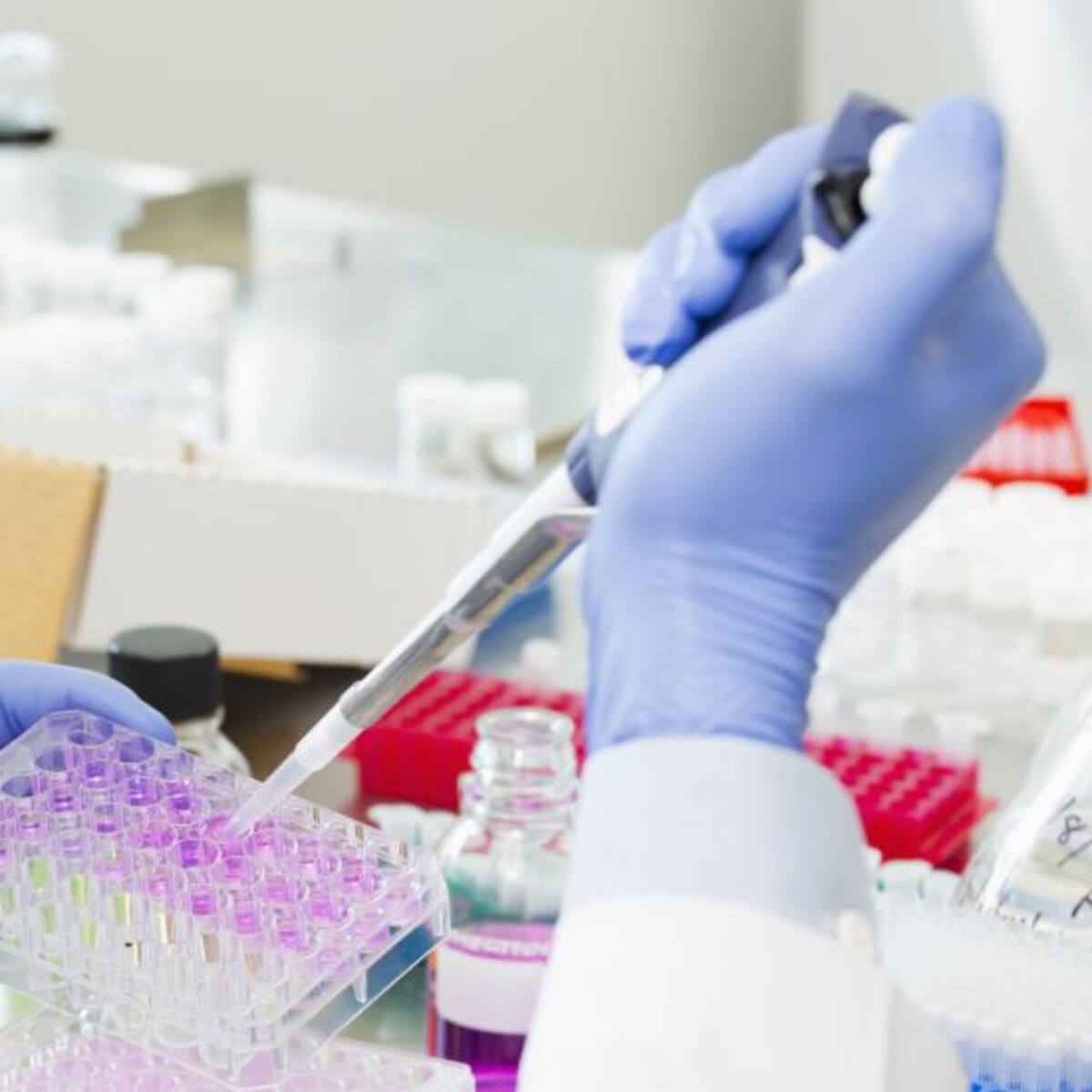 La investigación en Albacete contra el cáncer de mama se hace "en red" con otras universidades y países