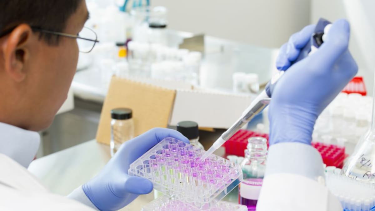 La investigación en Albacete contra el cáncer de mama se hace "en red" con otras universidades y países