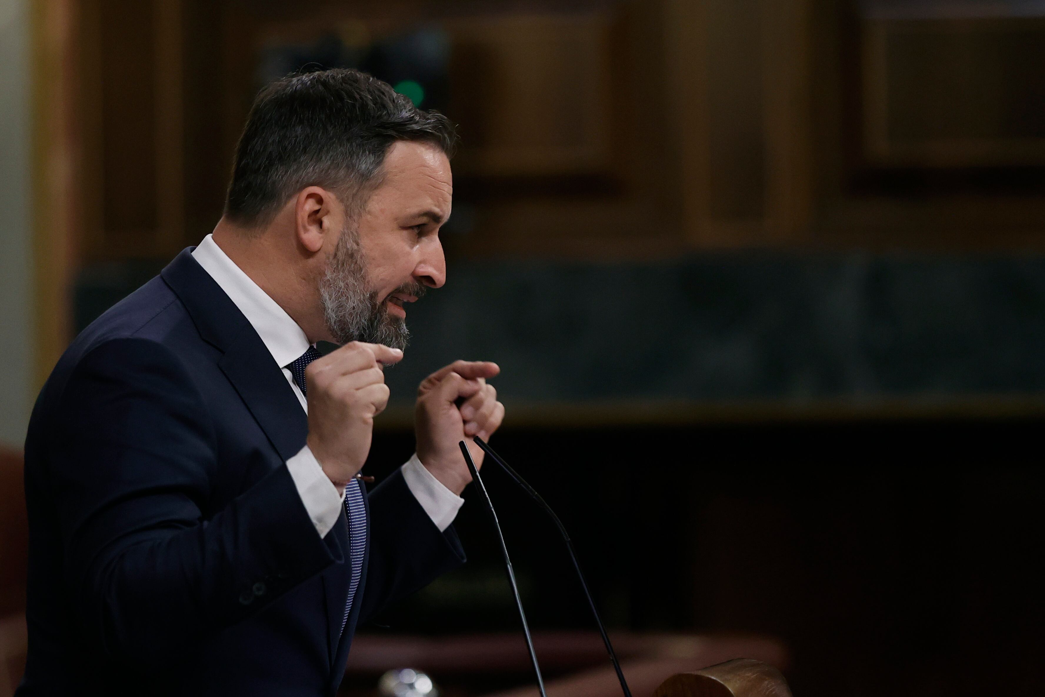 El líder de Vox, Santiago Abascal. EFE/ Emilio Naranjo