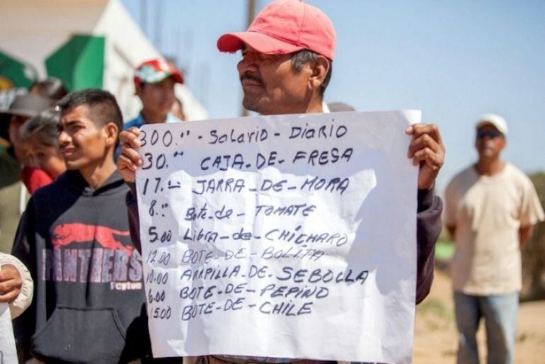 Jornaleros reivindicando sus derechos en San Quintín esta semana