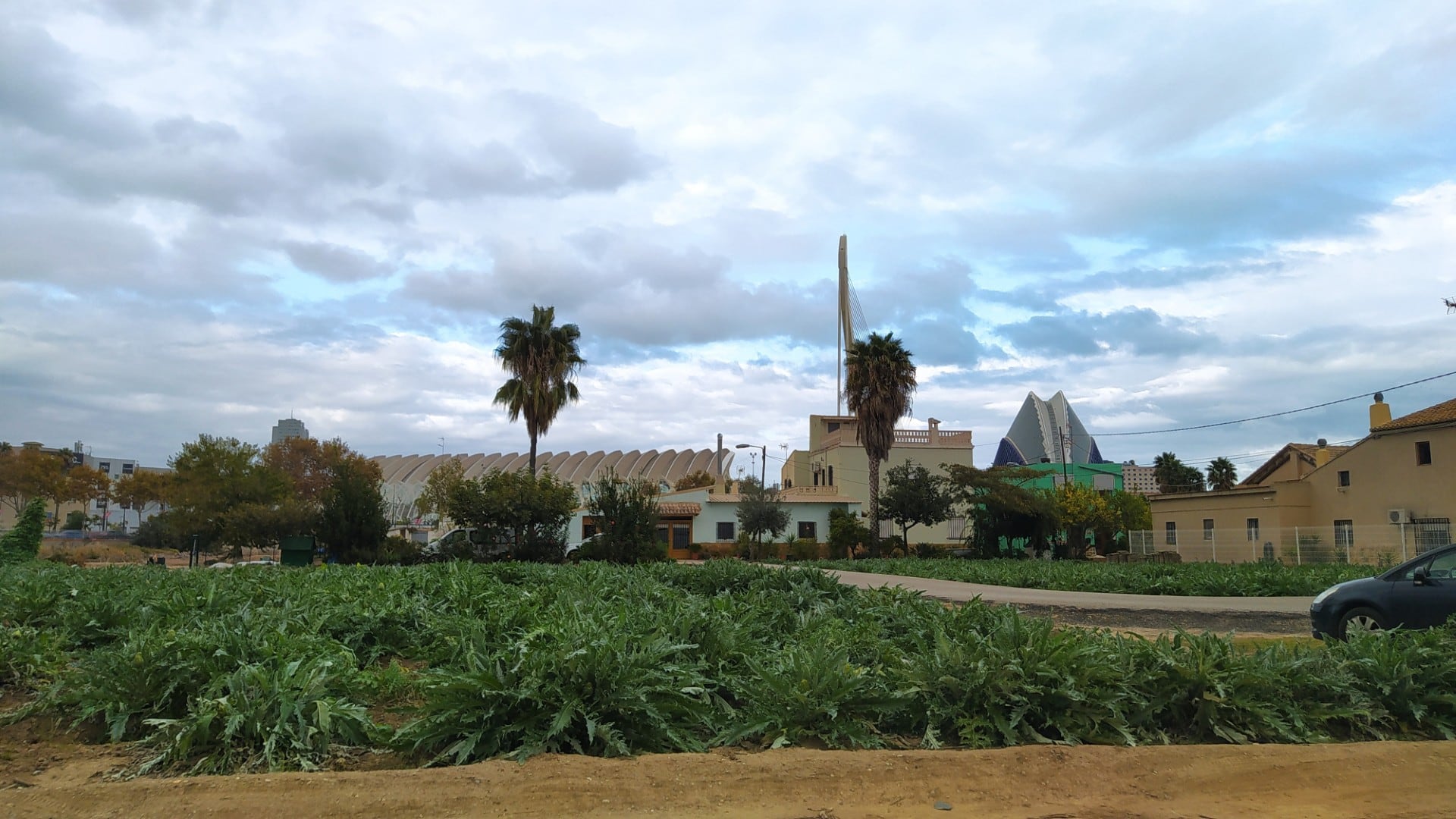 Huerta de València