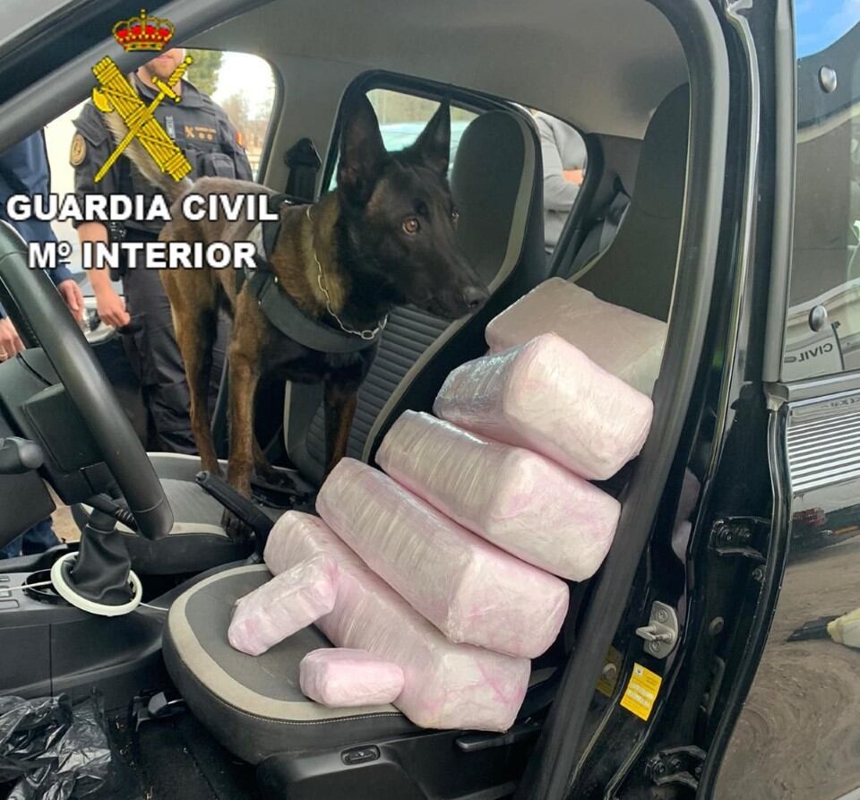 La droga ha sido descubierta gracias a &#039;Conan&#039;, uno de los perros detectores de la Guardia Civil