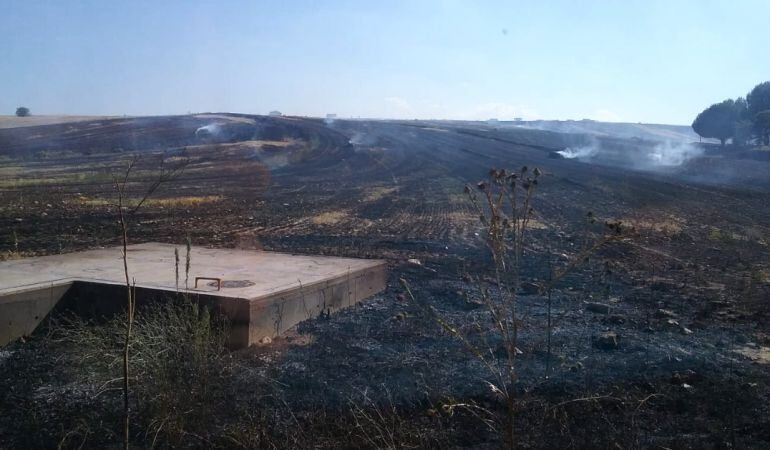 El incendio calcinó cerca de 20 hectáreas de terreno en Arroyosur