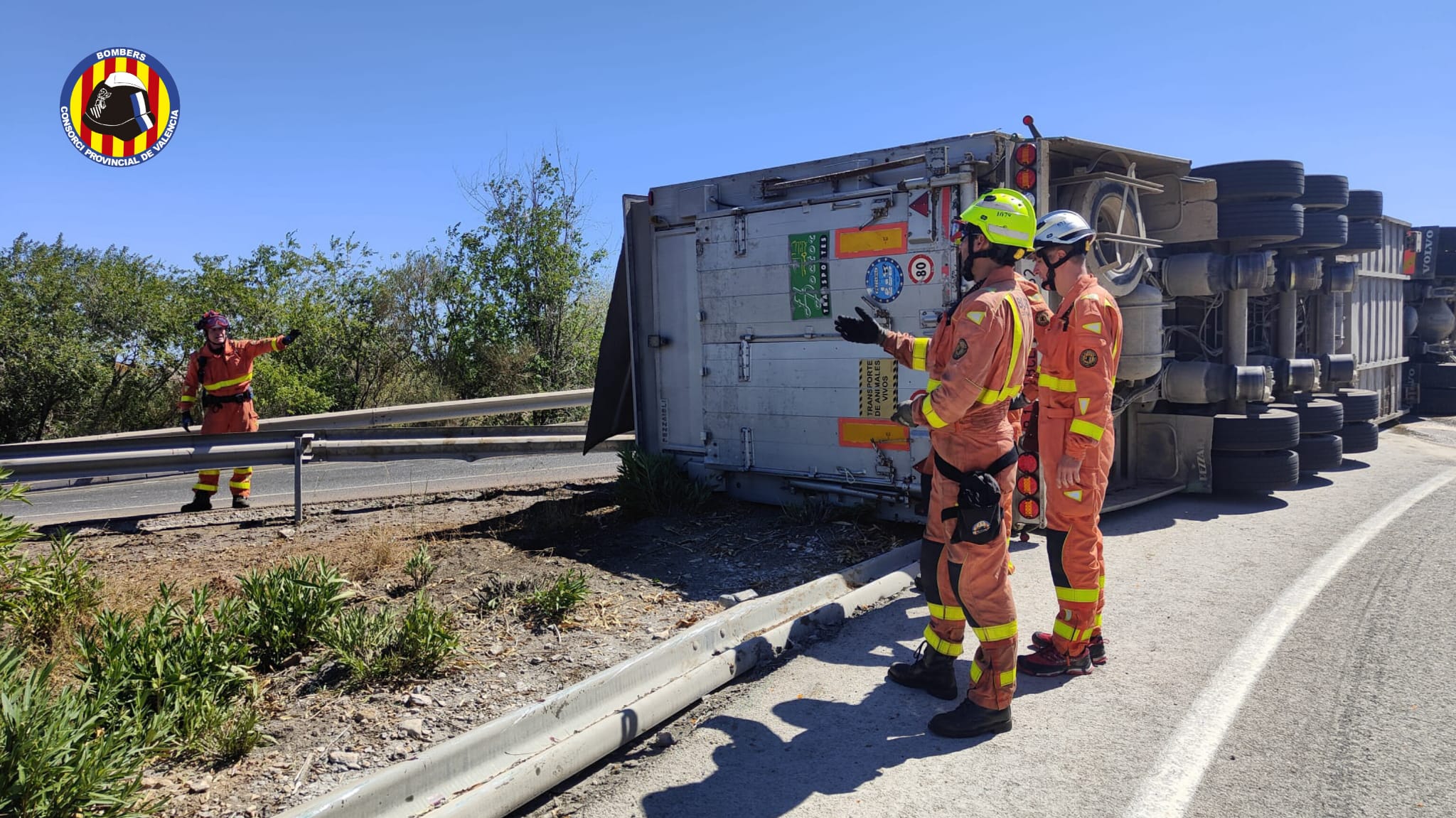 Un camión que transportaba toros ha sufrido un accidente  en la autovía A-3, a su paso por Buñol (Valencia), lo que ha provocado que los animales queden sueltos por las inmediaciones de la carretera.