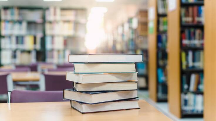 Estíbaliz Canto, concejala de cultura, explica la reapertura de las bibliotecas