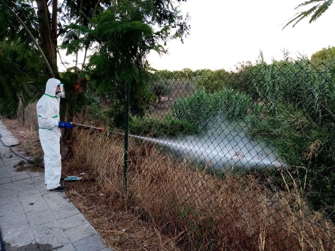 Fotografía facilitada por el Ayuntamiento de Palomares del Río (Sevilla) de un operario fumigando un terreno tras anunciar dicho municipio que iniciaría el protocolo de actuación contra el mosquito del virus del Nilo.