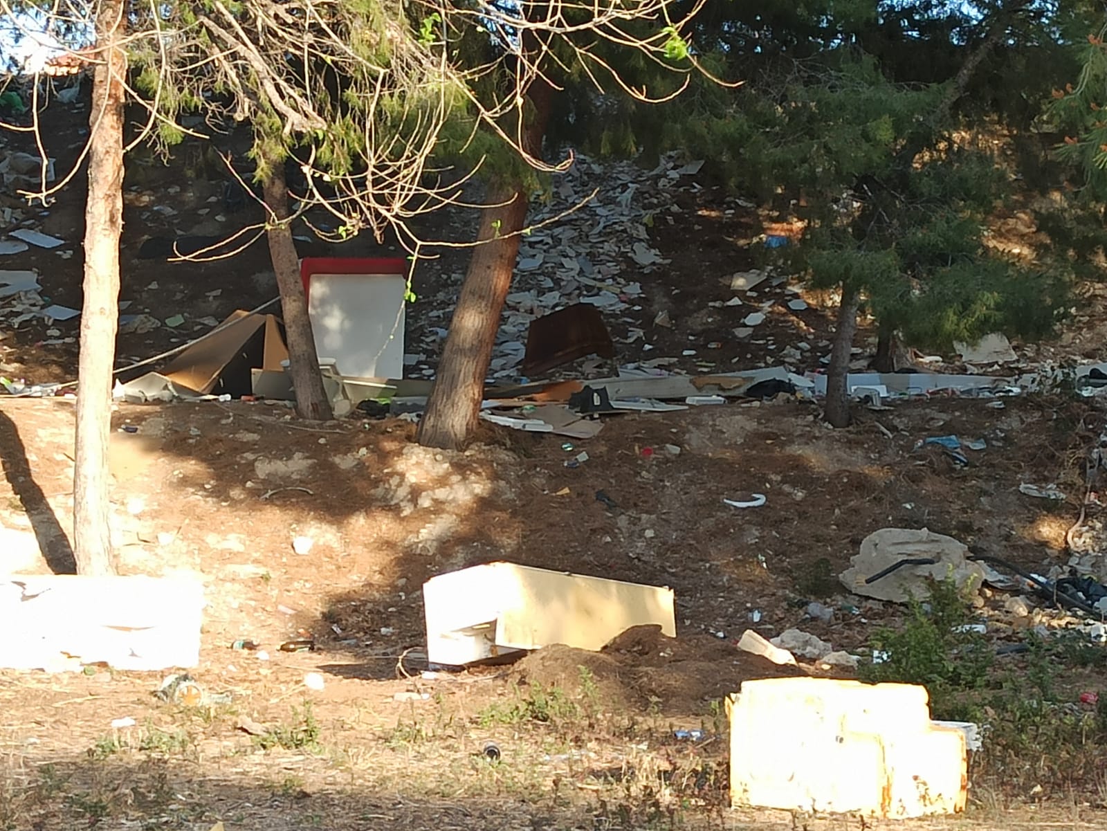 Enseres acumulados en los Jardines del Vinalopó de Elda