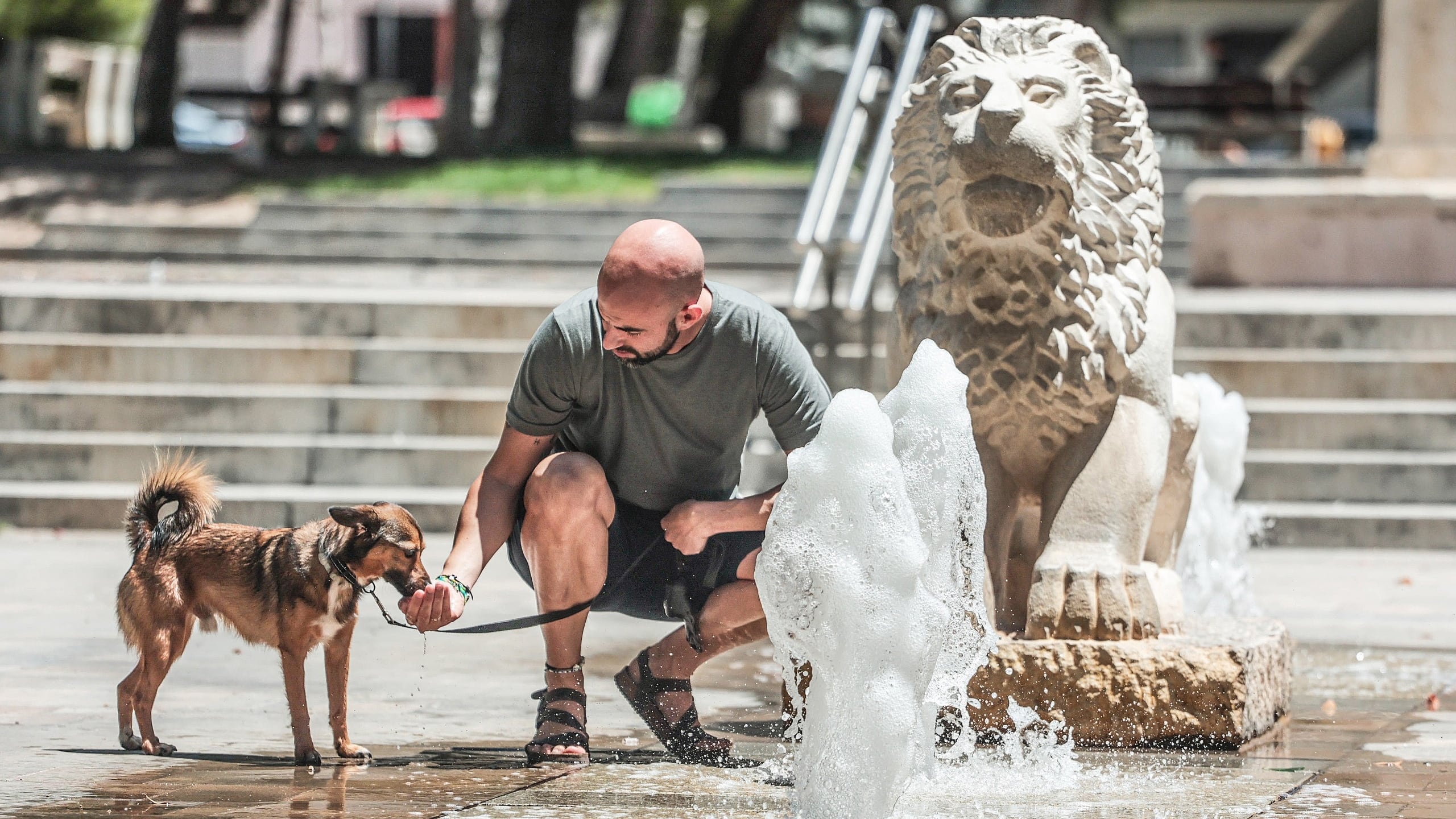 Los eldenses se refrescan para combatir el calor