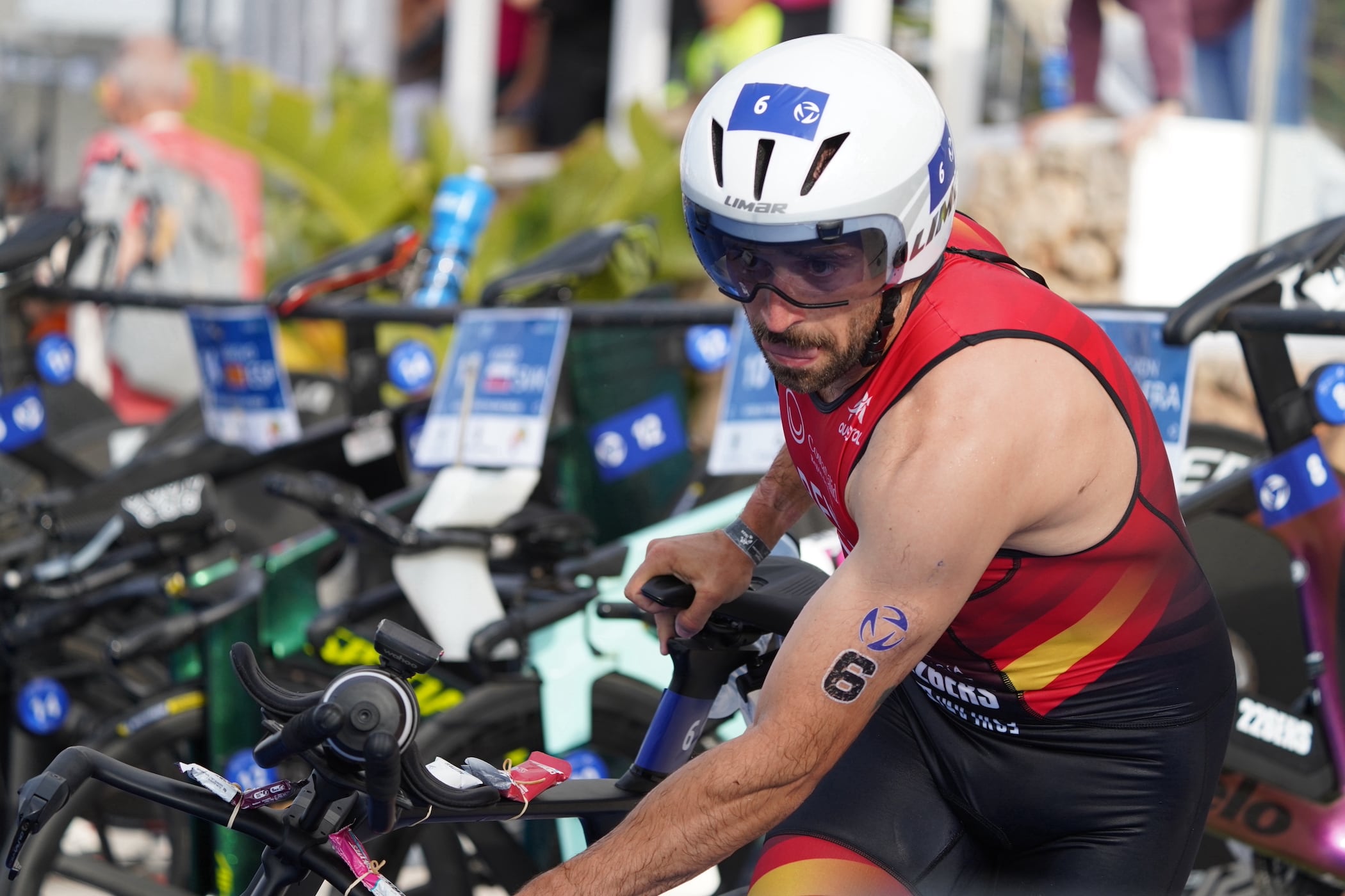El Test Event de Málaga, un cierre por todo lo alto a un histórico 2023 para el Triatlón español