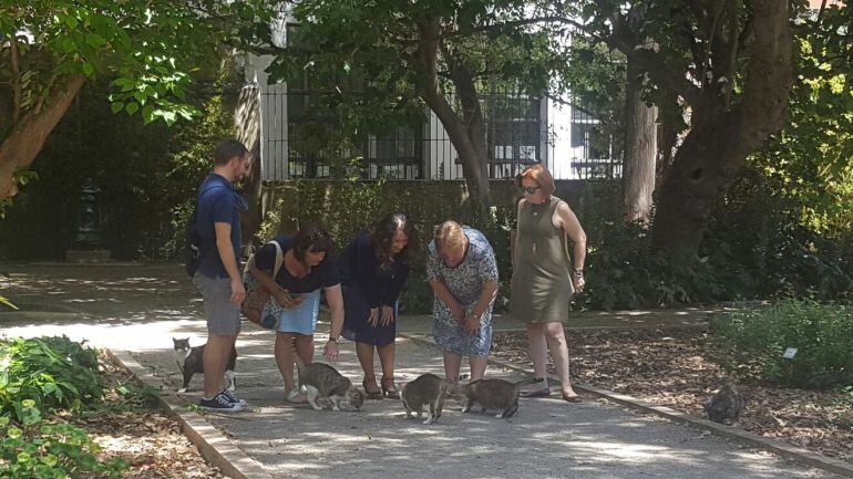 La concejala de Bienestar Animal, Glòria Tello, se acerca a conocer a un grupo de gatos callejeros y sus cuidadores