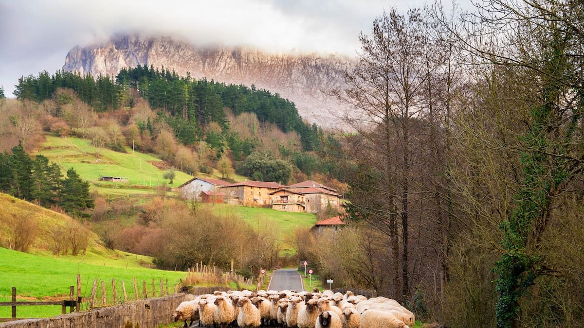 ¿Qué necesita el tercer sector en Bizkaia?