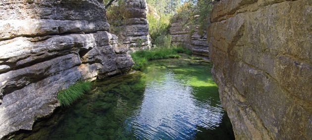 El arroyo se encajona en algunos tramos.