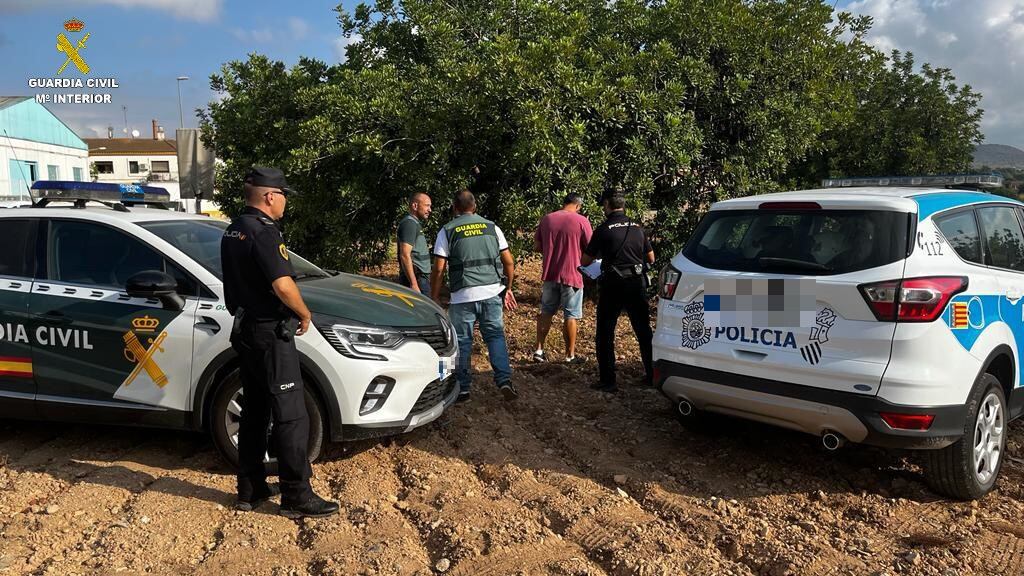 Policia Local y Guardia Civil presentes en un campo de algarrobas