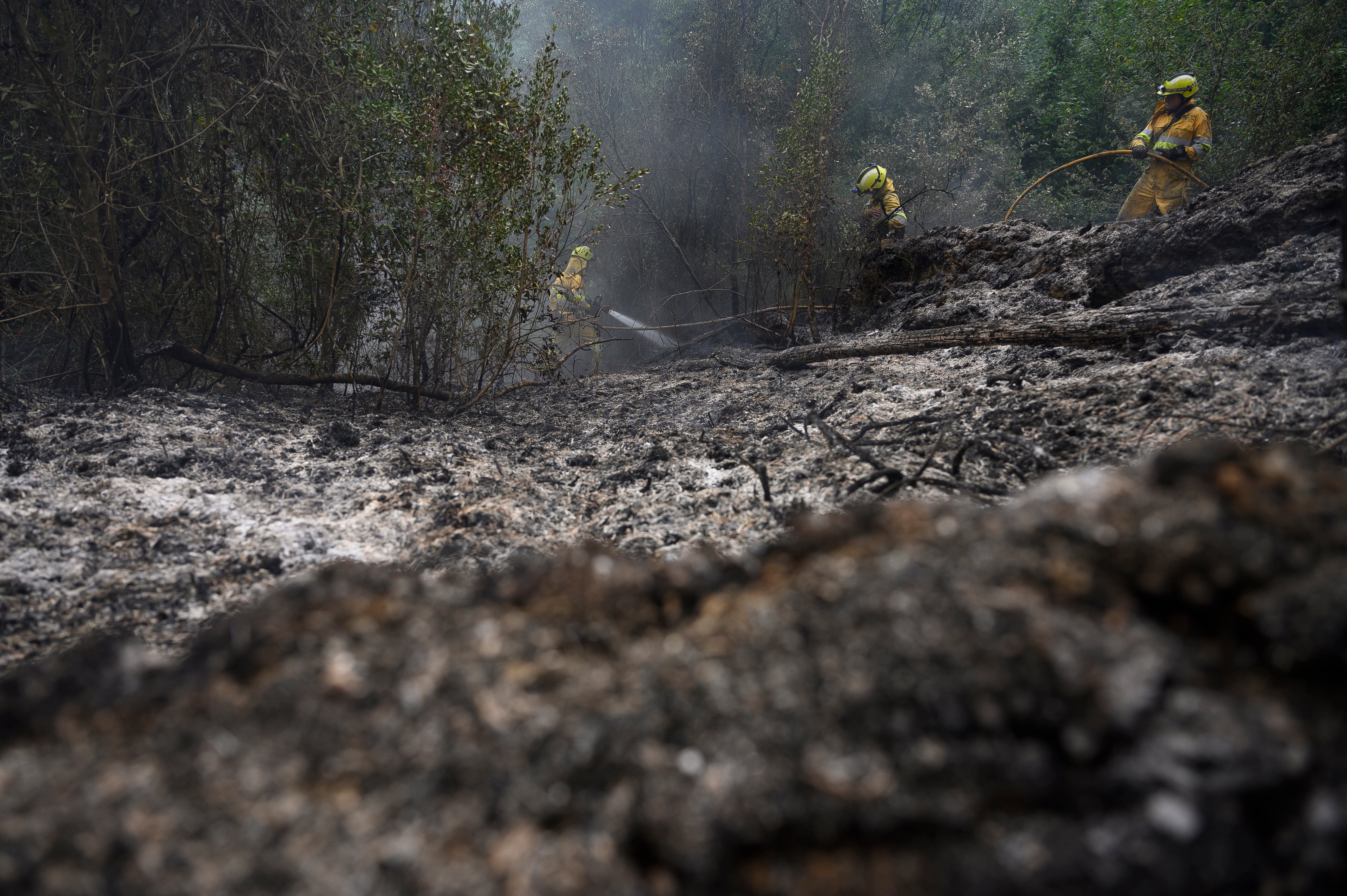 Bomberos forestales del Gobierno de Cantabria durante los trabajos de extinción del incendio de Hazas de Cesto (EFE/Pedro Puente Hoyos).