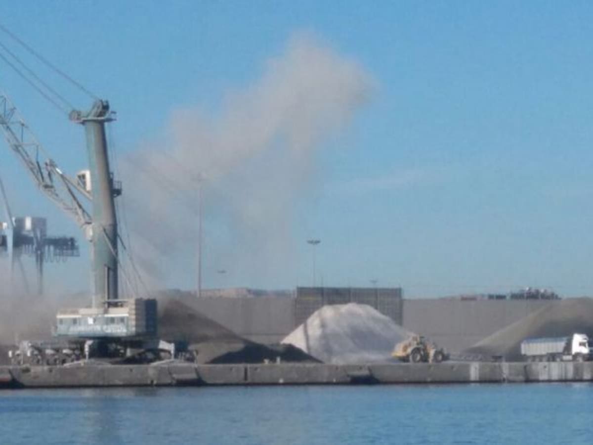 El TSJ ratifica la suspensión de la descarga de graneles en el puerto