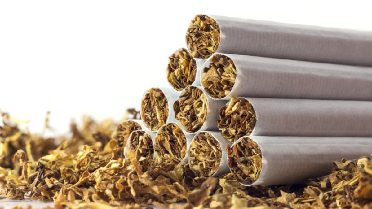 ¿Quién fuma menos en la universidad?