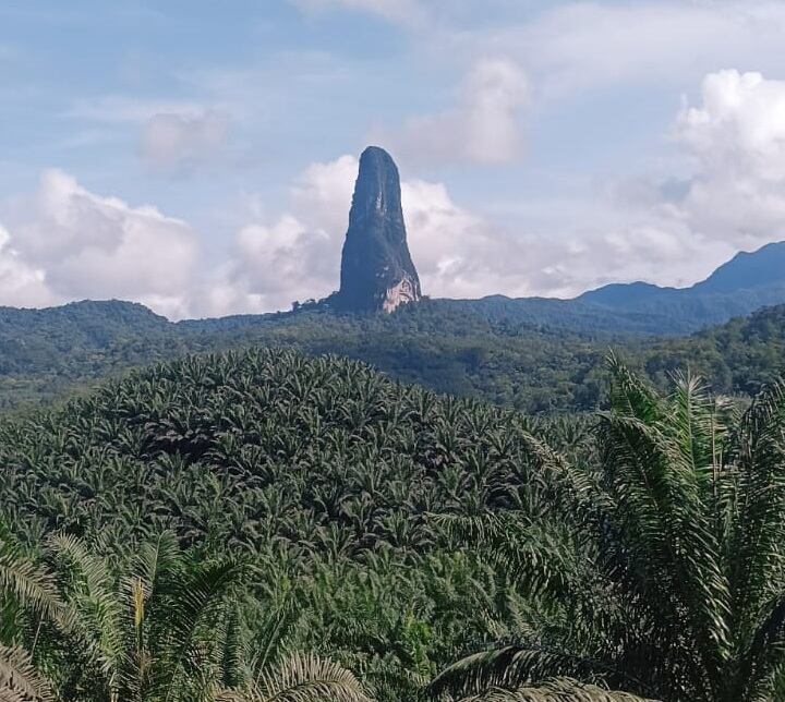 Pico Cao Grande