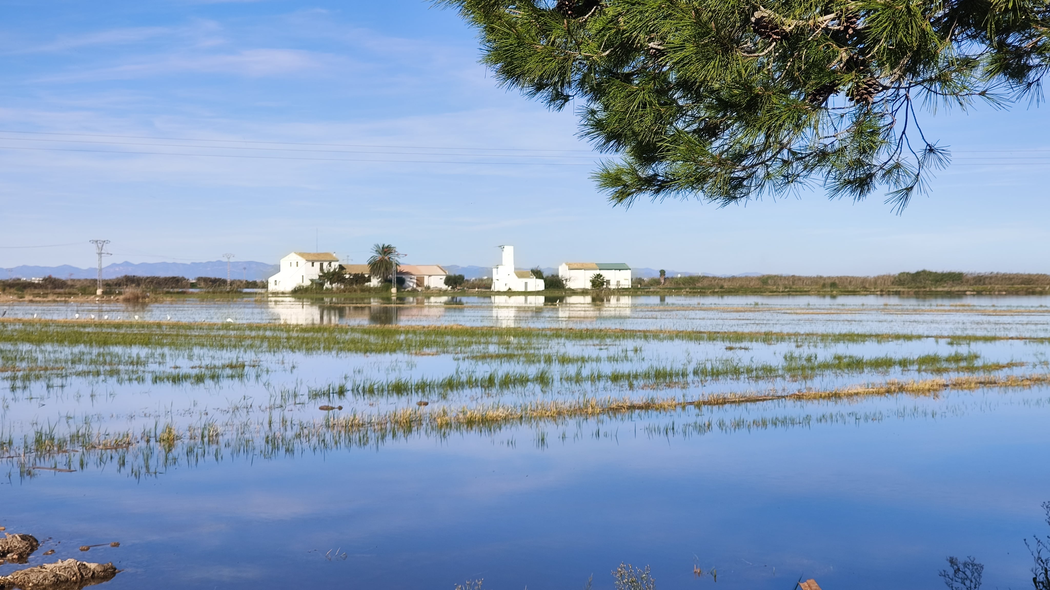 Vista de la Albufera de València en una imagen de archivo.