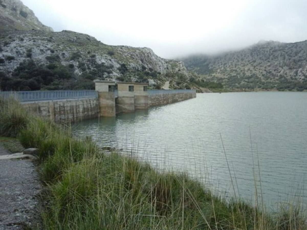 La dirección general de recursos hídricos ya ha limpiado más de 60 kilómetros de torrentes en las Islas