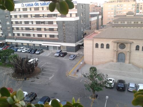 Árboles talados en el entorno de la Casa de la Salud