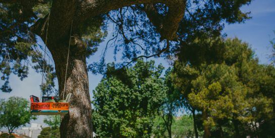 Les caixes amb llibres estan col·locades arreu.