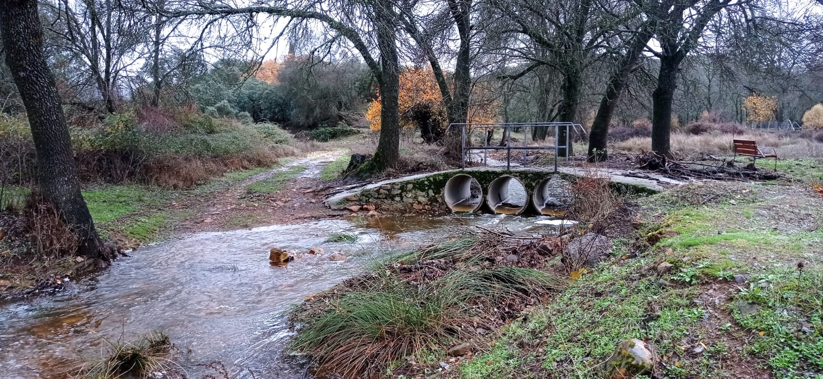 Pasarela en el Valle de Alcudia