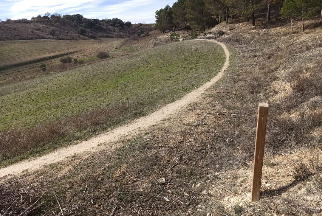 Parcela del Monte afectada