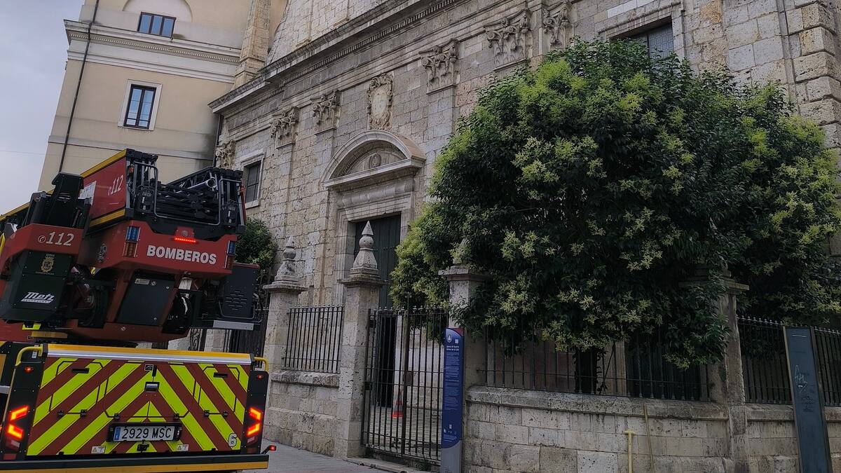 Reabre al culto la iglesia de La Compañía