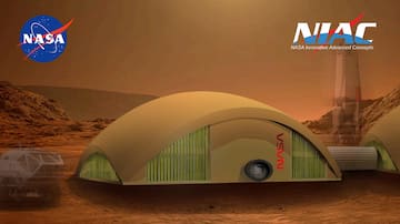 Patatas cultivadas en Marte y setas 'mágicas': así es el nuevo ingrediente que un restaurante español investiga para la NASA