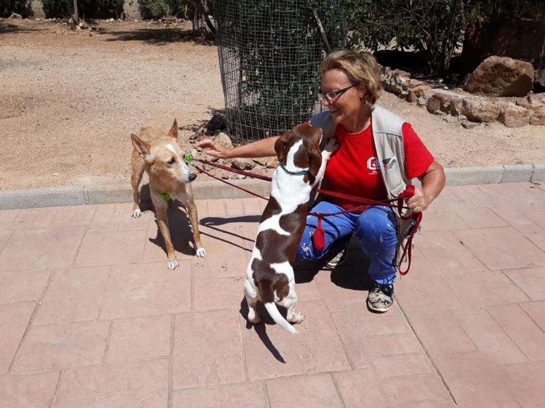 Valentina Garrido, vicepresidenta de Arconatura, junto a dos mascotas