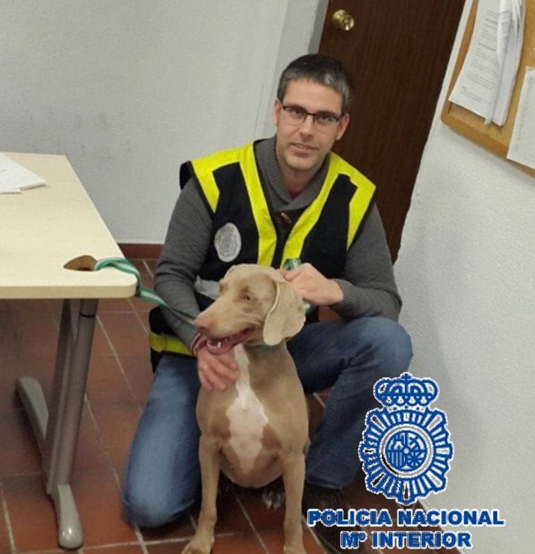 El perro rescatado ya es encuentra con su propietario