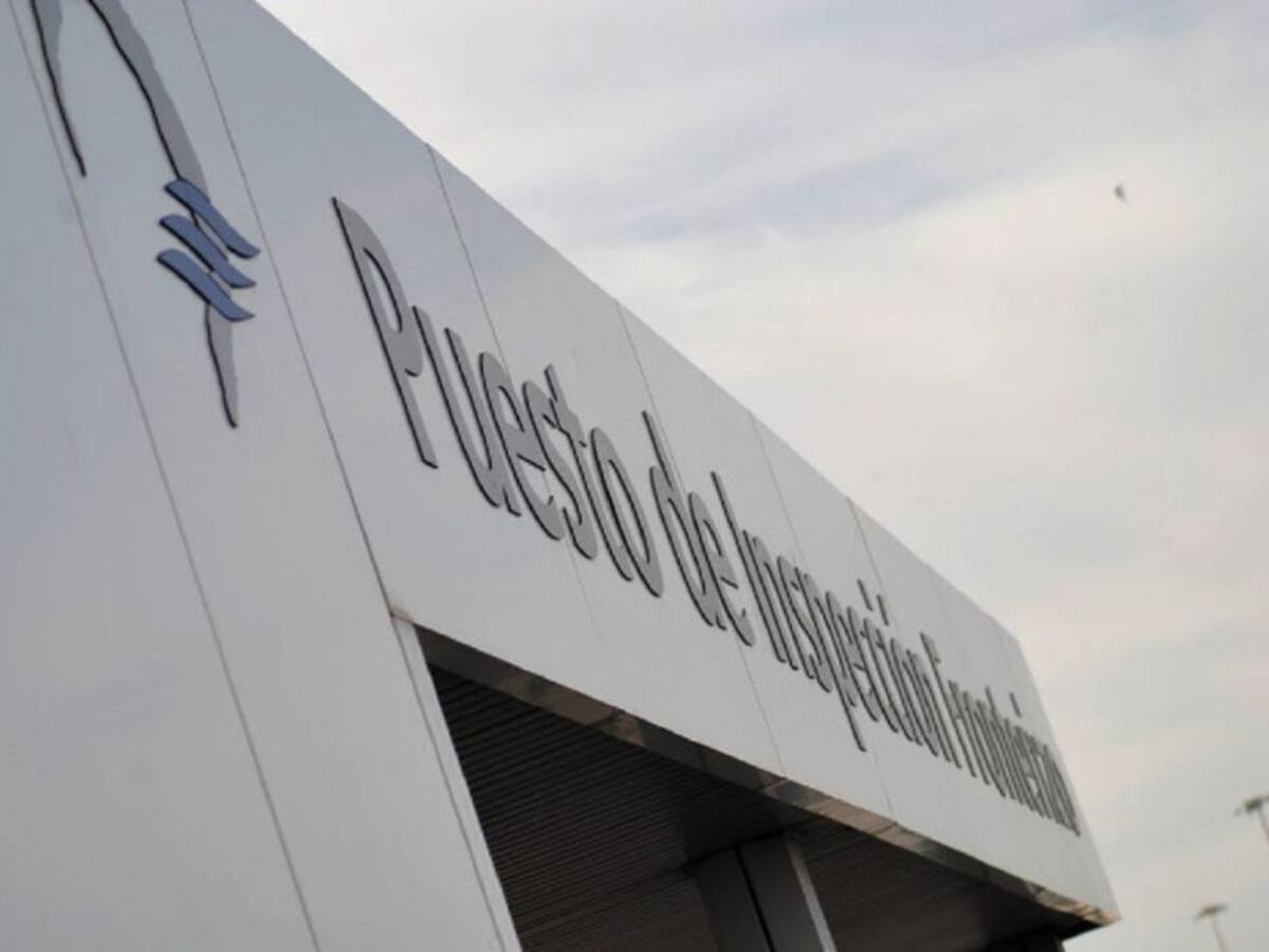 Transitarios del Puerto piden apoyo ante el agravio por los controles en productos de Sudamérica