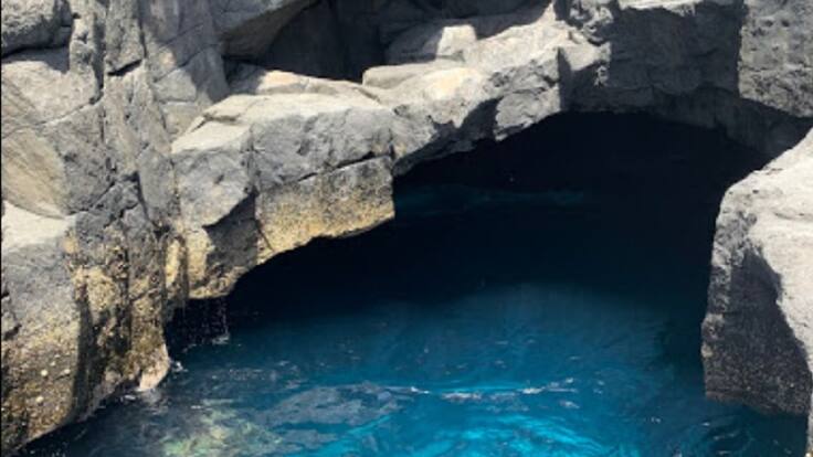 Entrevista a José Emilio Navarro (24/08/2021)