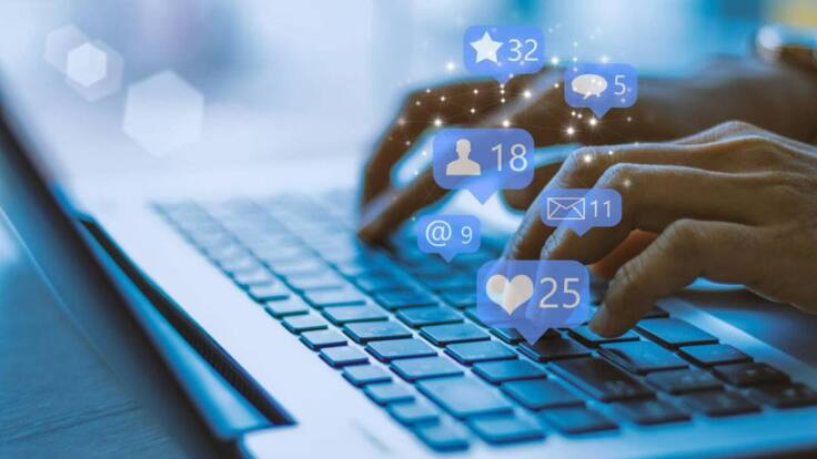 Espècies Protegides (02/10/2019)