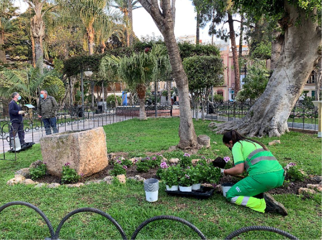 Los jardines de Águilas se llenan de flores.