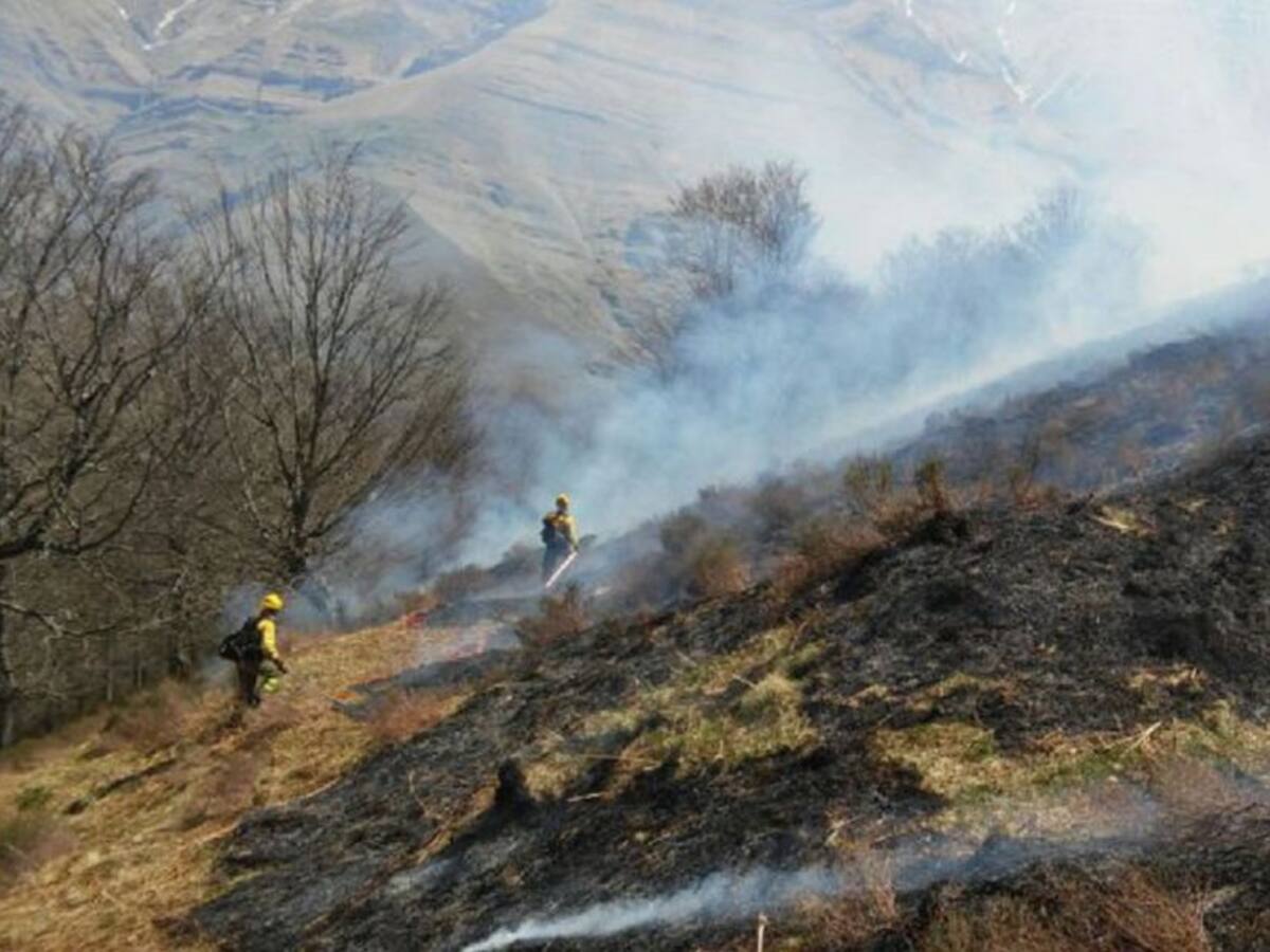 15 incendios forestales permanecen activos, ocho provocados esta noche