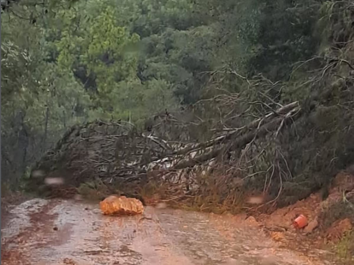 Casares convoca el Plan Local de Emergencia y vigila el desprendimiento de una ladera junto a viviendas