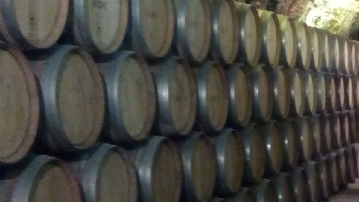 La D.O. Valdepeñas contará con un nuevo pliego de condiciones en un mes